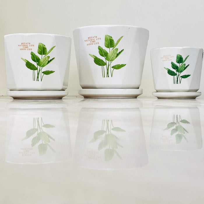 Green leaf design ceramic pots for indoor plants