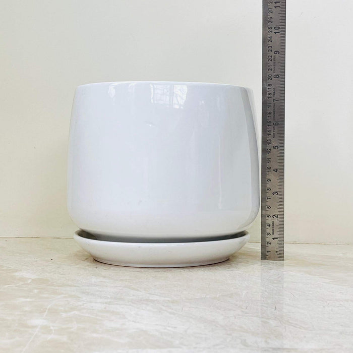 White ceramic pot collection with matching saucers