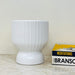 Sleek ribbed white ceramic planter, perfect for home décor.