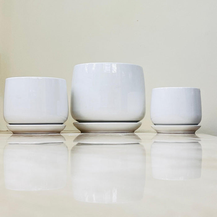 White ceramic pots with matching saucers