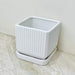 Small white ceramic planter with drainage tray