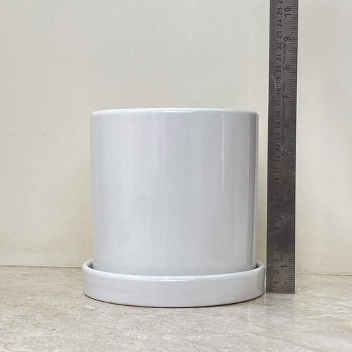 Sleek white ceramic planter with saucer for modern decor