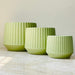 Small, medium, large green ceramic planters