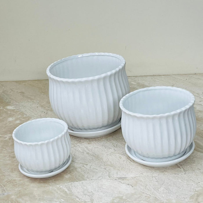 Minimalist white ceramic planters with saucers