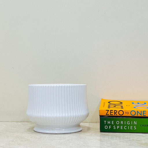 Small white ribbed ceramic planter with glossy finish