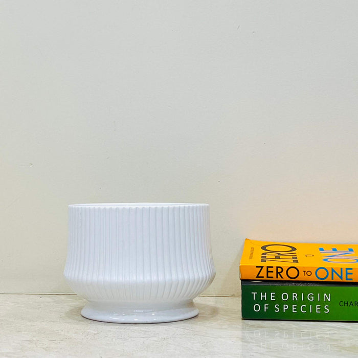 Small white ribbed ceramic planter with glossy finish