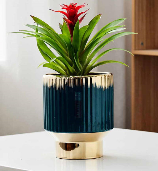 Elegant Textured Ceramic Pot for Home Decor