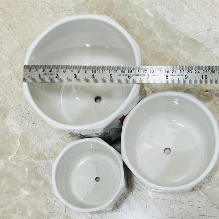 Decorative ceramic pot set with saucers for indoor plants