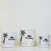 Three white ceramic planters with palm tree graphic