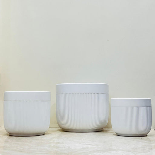 White ceramic pots with groove design for indoor plants