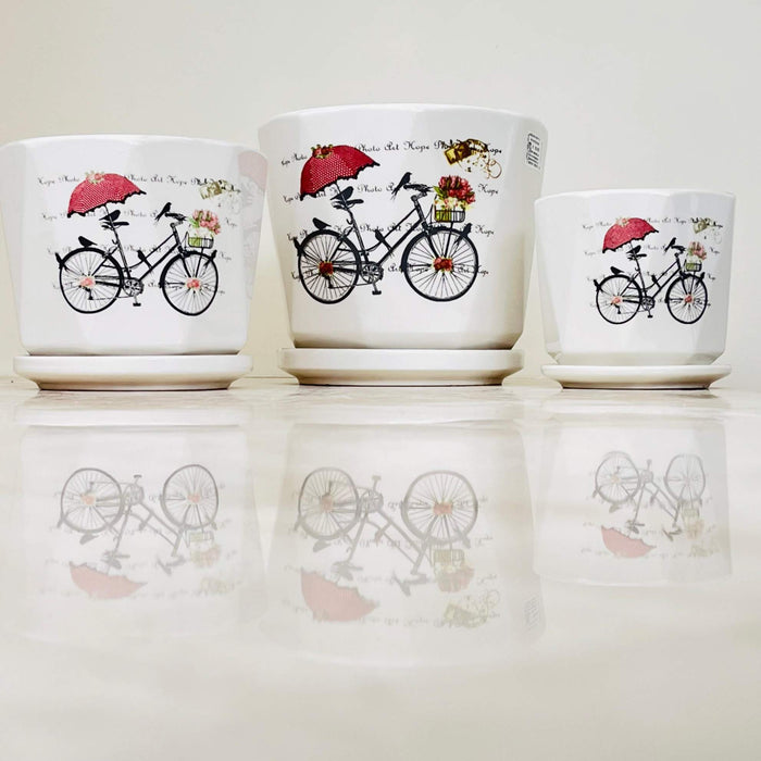 White ceramic pots with vintage bicycle design and matching saucers