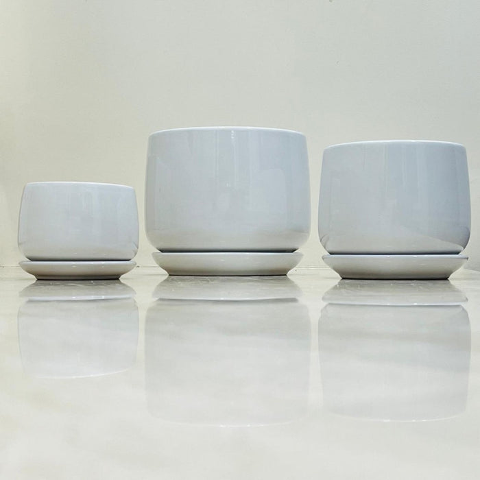 Elegant white ceramic pots with saucers