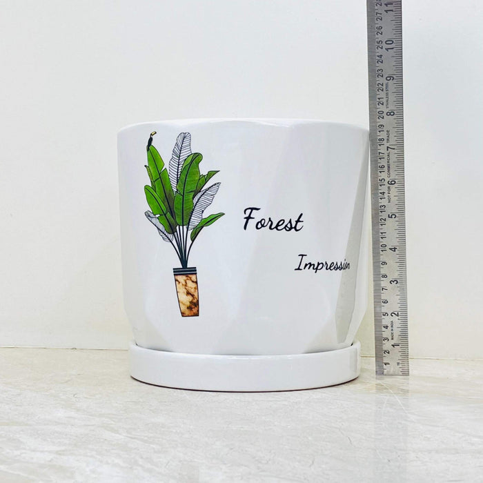 White ceramic pots with illustrated potted plant and "Forest Impression" text