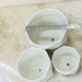 Nature-themed ceramic pots with matching saucers