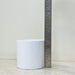 Minimalist white cylinder planter