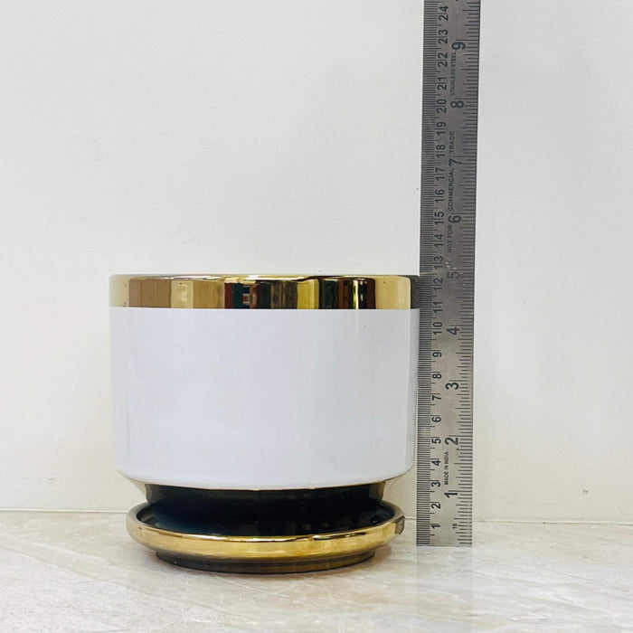 White ceramic planter with gold rim and black base