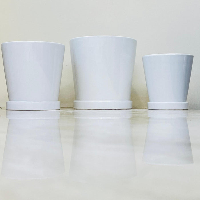 Set of white minimalist ceramic pots with matching saucers