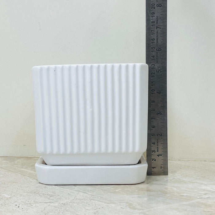 White ceramic plant pot with vertical ribbed texture