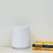 White ribbed ceramic planter for indoor plants