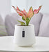 White ribbed ceramic planter for indoor plants