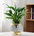 White Ribbed Ceramic Pot for Office and Home Decor