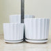 White ceramic plant pots with ribbed texture