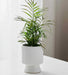 White Spike ceramic planter with ribbed texture