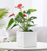 Modern square tabletop planter in white ceramic